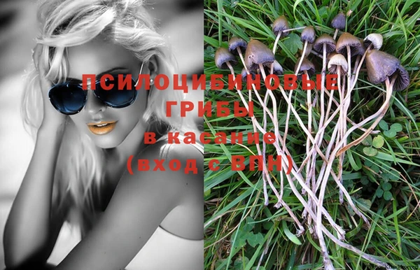 mix Белокуриха