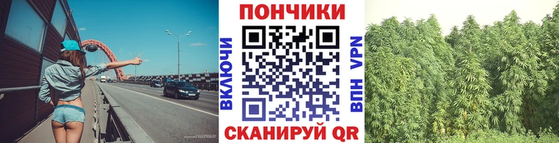 Бошки марихуана индика  Жердевка 